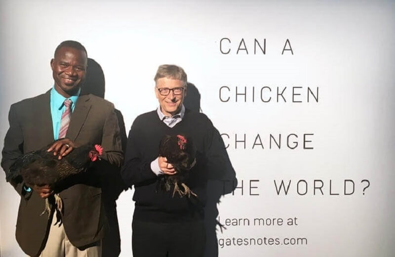 Bill Gates' chicken faux pas