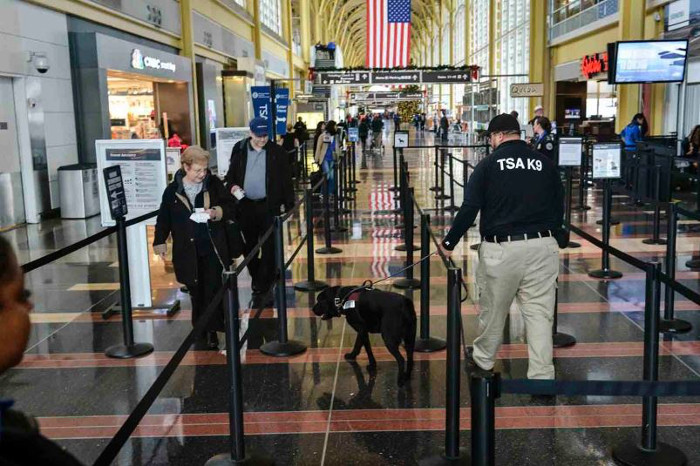 Bomb-sniffing dogs were used at some of the nation's busiest airports this weekend