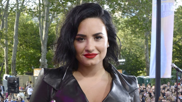 Demi Lovato has quit Twitter and Instagram        
      Credit Ida Mae Astute  ABC via Getty Images