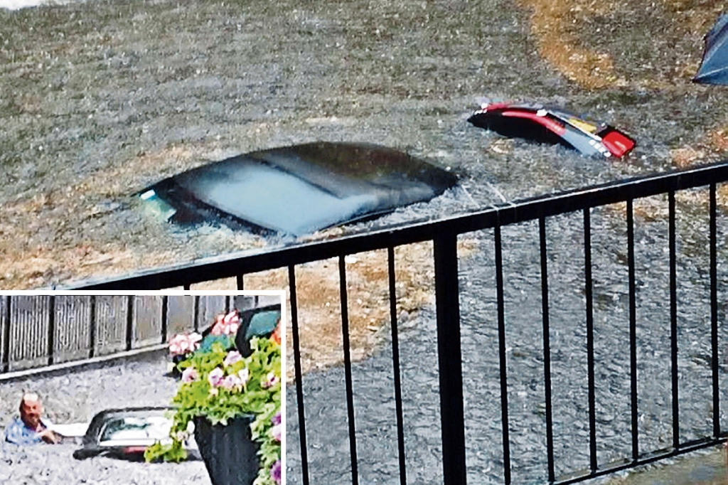 Drivers were pulled from cars in Wallington south London