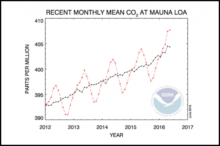 El Niño likely to boost CO2 in 2016