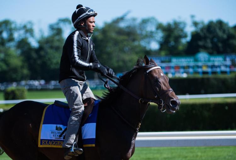 Exaggerator gallops a day before the 148th running of the Belmont Stakes at Belmont Park in Elmont