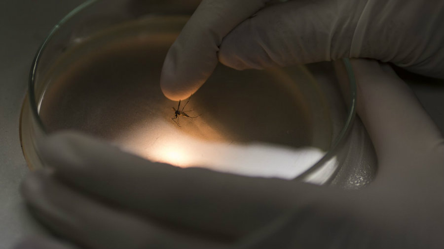 The U.S. Food and Drug Administration has approved the first clinical trial of a Zika vaccine involving humans