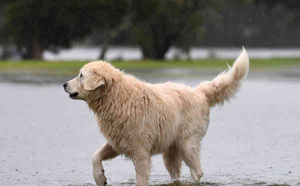 Heavy rain and strong winds are expected to hit Tasmania during several days of severe weather