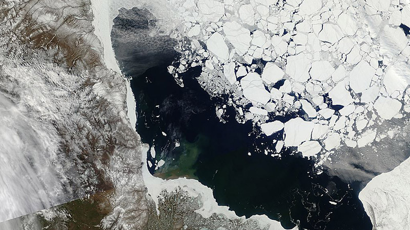 Fragmentation in the southern Beaufort Sea has led to large multiyear ice floes surrounded by first-year ice and open water