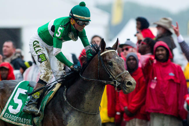 Getty Images Exaggerator #5 ridden by Kent J. Desormeaux wins the the 141st running of the Preakness Stakes