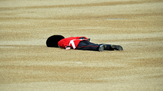 A member of the Queens Guard collapses during the Trooping the Colour this year marking the Queen's 90th birthday at The Mall