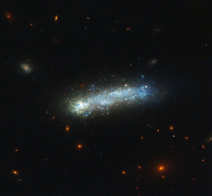 In this new image from the NASA  ESA Hubble Space Telescope a firestorm of star birth is lighting up one end of the diminutive galaxy LEDA 36252 — also known as Kiso 5649