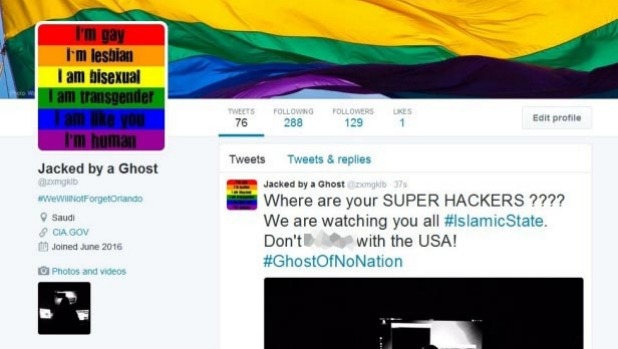 Hacker that goes by the name Wauchula Ghost has played a part in a hacking operation targeting Isis accounts in support