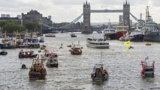 BREXIT The Thames has been the scene of the most colourful and unusual exchanges of the referendum campaign so far. Note the larger trawlers occupying where RMS St. Helena recently moored next to HMS Belfast in the Pool of London