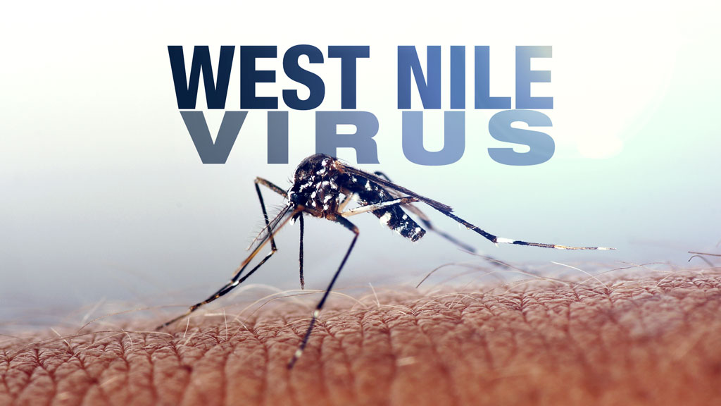 Concerns On The Rise After West Nile-Infested Mosquitoes Found In Tulsa County