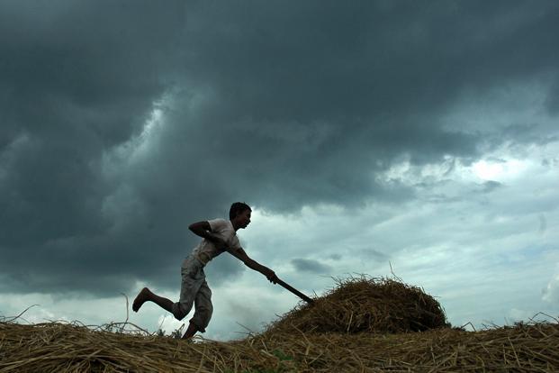 A good monsoon is expected to reduce crop failure revive farm income and boost rural spending