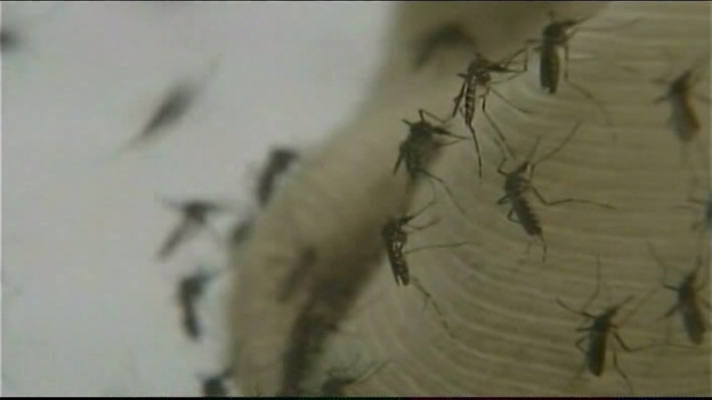 Mosquitoes carrying West Nile virus found in Marion County