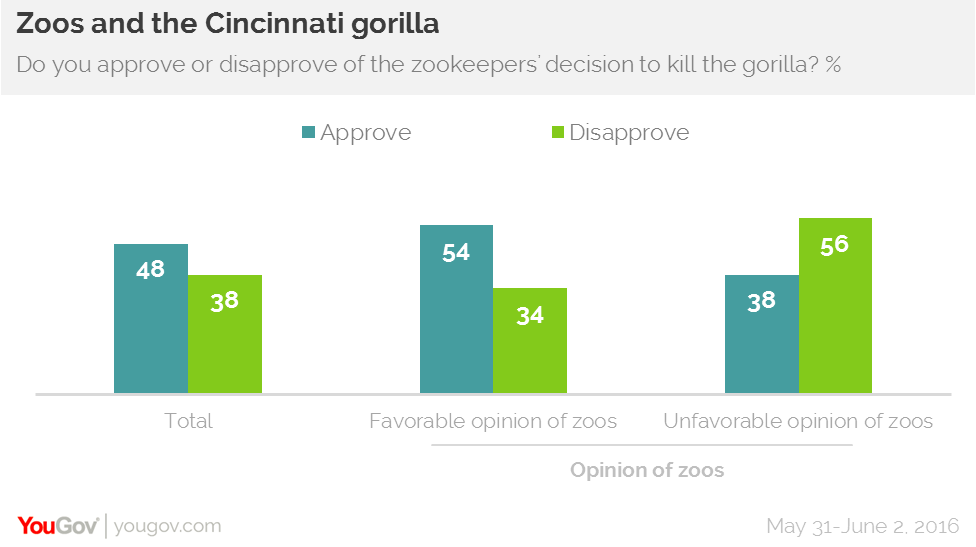 Mother of boy who fell into gorilla exhibit incident will not be charged, prosecutor says