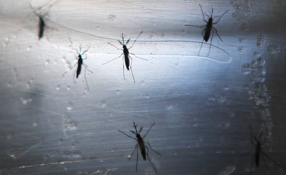 Health officials launch program to educate residents of Zika virus