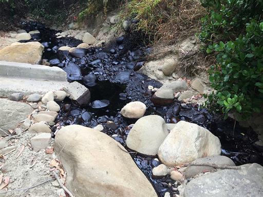 Crude oil flows down a barranca after a spill in Ventura Calif. Thursday