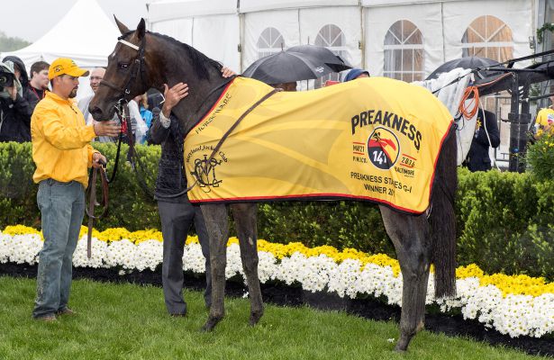 Preakness Stakes 2016 winner Exaggerator