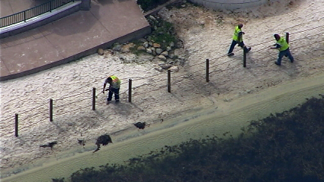 Boy's body recovered from Disney lagoon after alligator attack