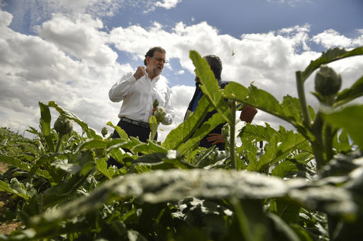 Spain's acting Primer Minister and candidate of Popular Party Mariano Rajoy left stands in a field of artichokes as he talks with a farmer during a campaign election rally in Tudela northern Spain Wednesday June 15