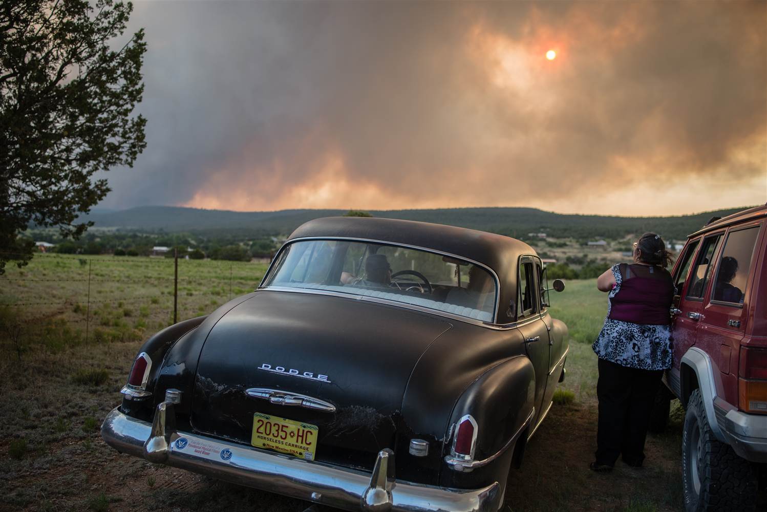 IMAGE Dog Head Fire in New Mexico