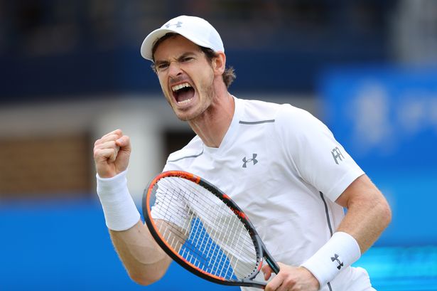 Richard Heathcote  Getty Images
Roaring back Murray of Great Britain celebrates