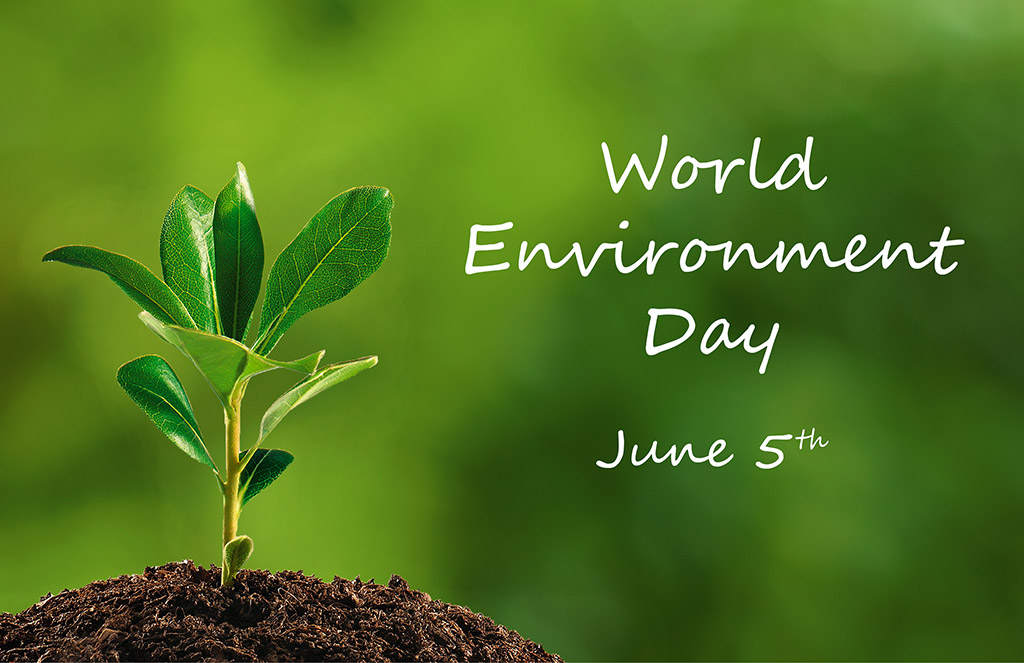 Today is World Environment Day Growing strain on planet earth in focus