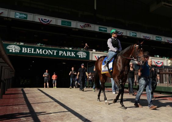 Jockey Kent Desormeaux rides Exaggerator onto the track