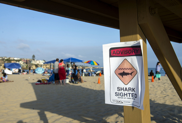 A possible shark sighting at Corona del Mar State Beach closes the shoreline on Sunday