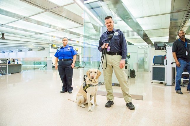 Private workers start security line training at Sea-Tac Airport