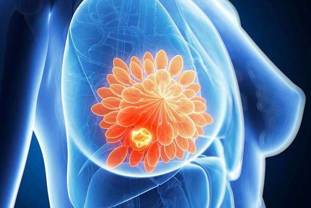 Taking hormone therapy drugs which cost just 10p a day could slash breast cancer patients risk of the disease returning researchers claim