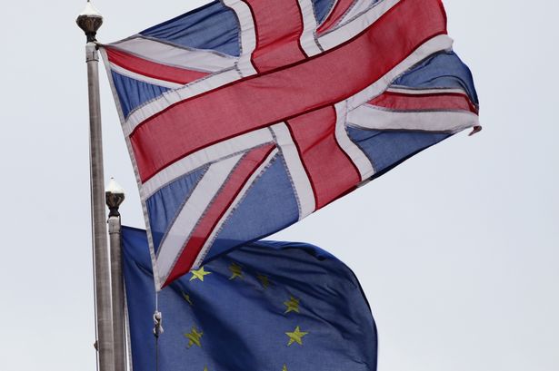 What to expect on EU referendum night