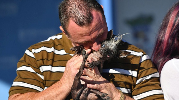 The winner Sweepie Rambo gets a kiss from owner Jason Wurtz