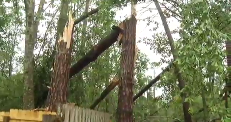 Tropical Storm Colin damage on Jacksonville's westside