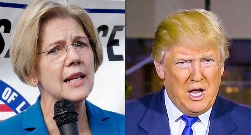 Sen. Elizabeth Warren businessman Donald Trump