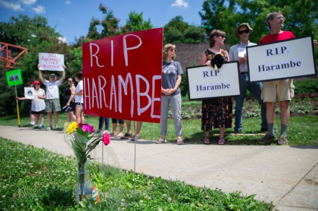 Animal rights activists and mourners gather for a Memorial Day vigil outside the Cincinnati Zoo & Botanical Garden Monday