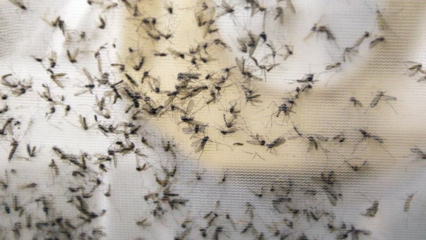 CDC: 3 babies born in US with birth defects caused by Zika