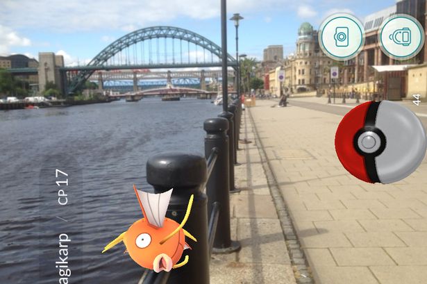 A wild Magikarp appeared in the Tyne