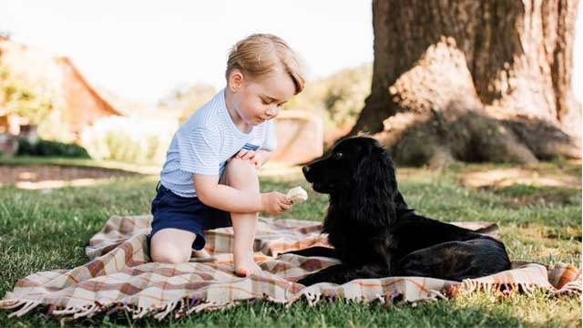 Awww Prince George just turned three and these new