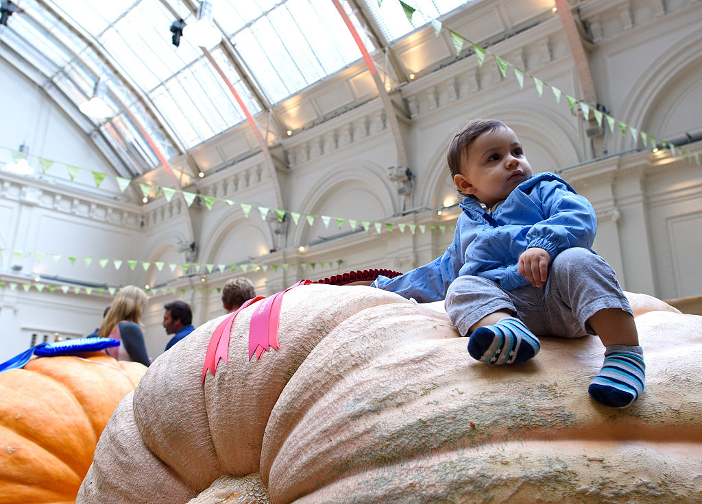 The Royal Horticultural Society's 2015 Harvest Festival Show