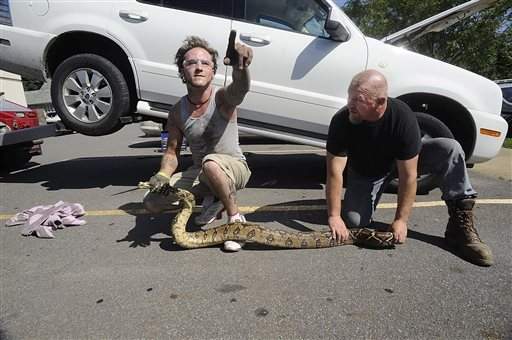 Boa constrictor pulled from beneath SUV in Pennsylvania