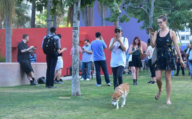 Residents look at their phones while playing Pokemon Go on Wednesday at Pershing Square in Los Angeles California. The location-based augmented reality mobile game was released on July 6th