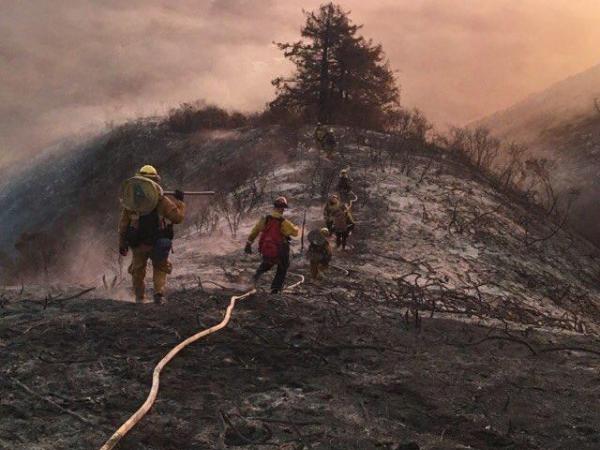 Soberanes Fire Latest Four Firefighters Injured 24,000 Acres Burned