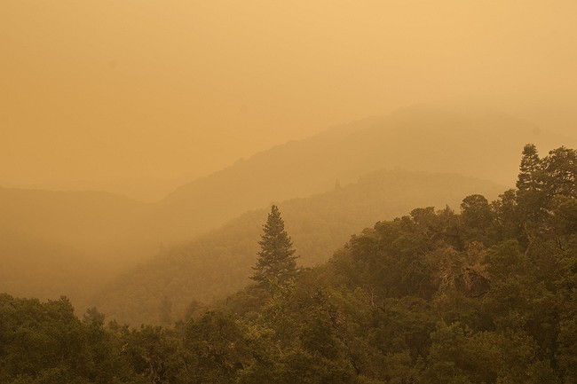 Firefighters Battle California Wildfires, Bulldozer Operator Dies