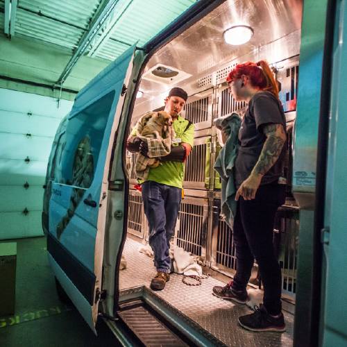 Animal Care Team Lead and Corrine Waldrep Animal Care Specialist carry a Chihuahua off of the Rescue Rover to bring inside the Humane Society of the Pikes Peak Region on Wednesday