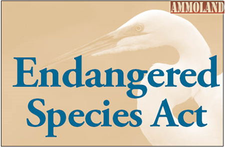 Endangered Species Act