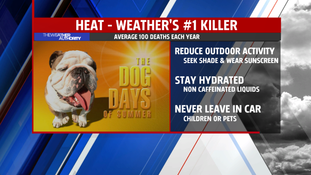 Heat Safety Tips