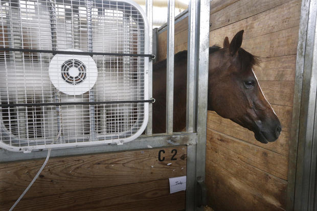 Weather Service Warns of Dangerous Heat the Rest of the Week