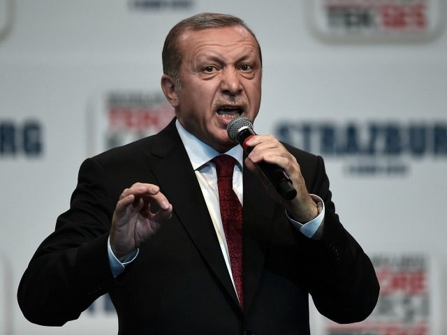 Turkish President Recep Tayyip Erdogan speaks during a political rally in Strasbourg eastern France