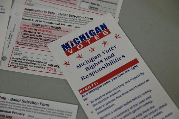 Federal judge blocks Michigan ban on straight-party voting