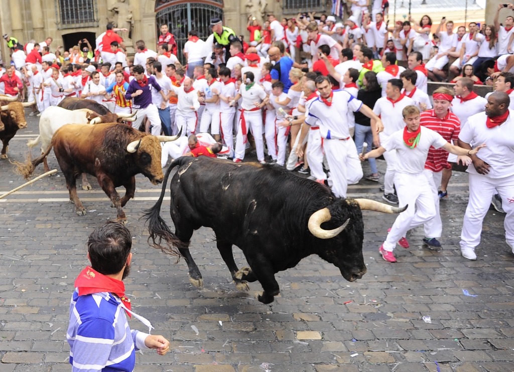 Participants run ahead of Pedraza de Yeltes fighting bulls on the fourth day of the San Fermin bull run festival in Pamplona northern Spain